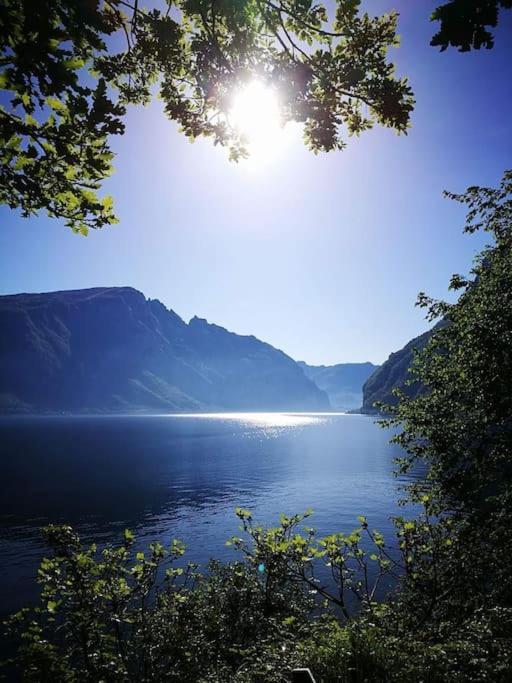 Casa Da Ste Lejlighed Mandello del Lario Eksteriør billede